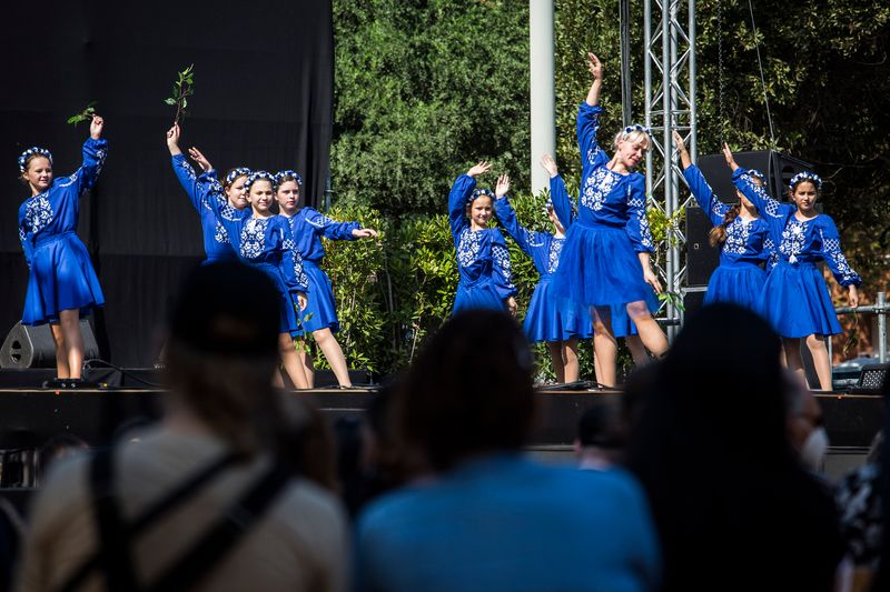<div class='imageHoverDetail'>
             <p class='imageHoverTitle twoLineBreak'>Actuació de dansa tradicional a l'escenari de la Festa de l'Associa't al parc...</p>
             <p class='imageHoverAutor oneLineBreak'>Autor: Pere Virgili</p>
             <button class='imageHoverBtn'>Mostra els detalls de la imatge <span class='sr-only'>Actuació de dansa tradicional a l'escenari de la Festa de l'Associa't al parc...</span></button>
             </div>