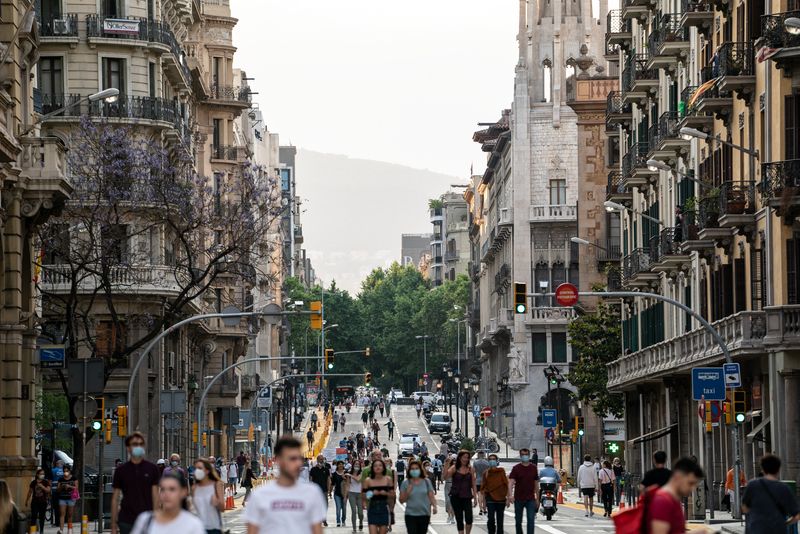 
             Vista de l