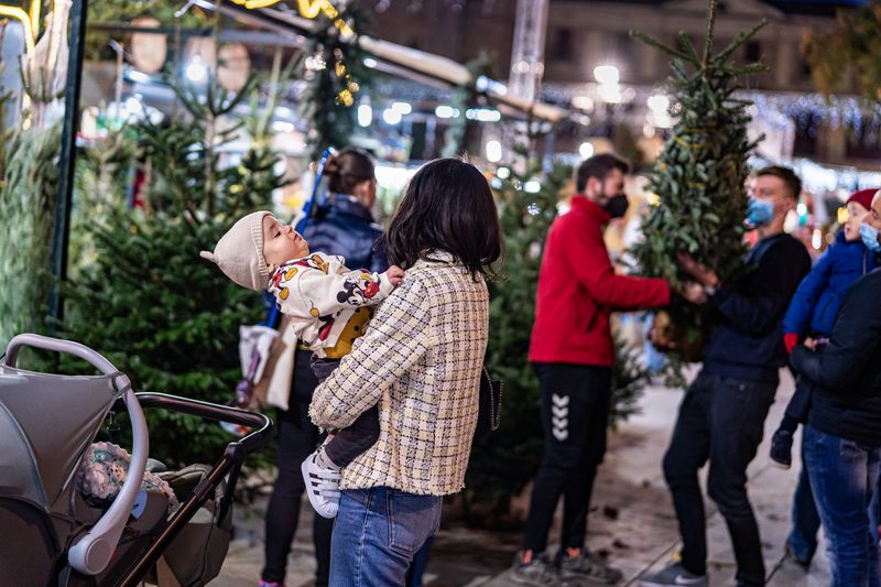 <div class='imageHoverDetail'>
             <p class='imageHoverTitle twoLineBreak'>Famílies comprant el tradicional arbre de Nadal a la Fira de Santa Llúcia</p>
             <p class='imageHoverAutor oneLineBreak'>Autor: Laura Guerrero</p>
             <button class='imageHoverBtn'>Mostra els detalls de la imatge <span class='sr-only'>Famílies comprant el tradicional arbre de Nadal a la Fira de Santa Llúcia</span></button>
             </div>