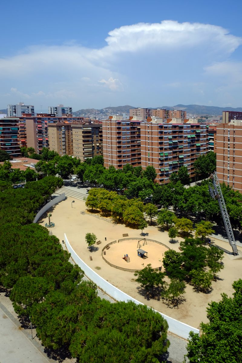 
             Vista parcial de la plaça de la Palmera de Sant Martí
             Autor: Vicente Zambrano
             Mostra els detalls de la imatge Vista parcial de la plaça de la Palmera de Sant Martí
             