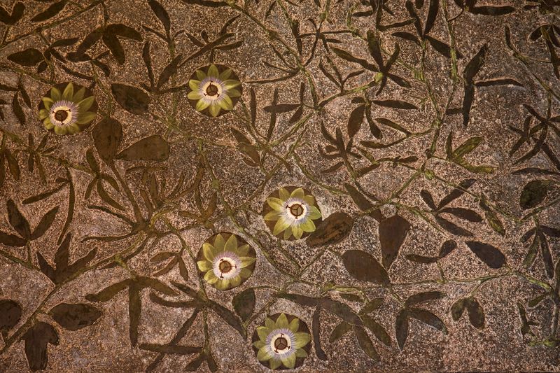 <div class='imageHoverDetail'>
             <p class='imageHoverTitle twoLineBreak'>Casa Vicens. Biblioteca amb estucs de decoració vegetal a les parets</p>
             <p class='imageHoverAutor oneLineBreak'>Autor: Pepe Navarro</p>
             <button class='imageHoverBtn'>Mostra els detalls de la imatge <span class='sr-only'>Casa Vicens. Biblioteca amb estucs de decoració vegetal a les parets</span></button>
             </div>