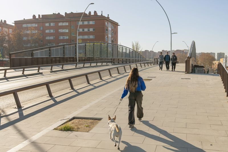 
             Jove amb un gos passejant pel pont del carrer Santander.
             Autor: Elena Pastor
             Mostra els detalls de la imatge Jove amb un gos passejant pel pont del carrer Santander.
             