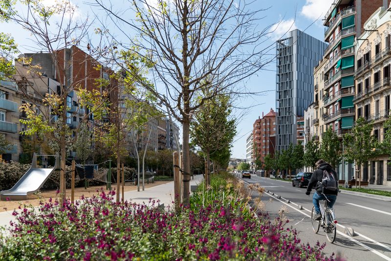 
             Un ciclista circulando por un carril bici lateral de la avenida Meridiana con...
             Autor: Mariona Gil
             Ver los detalles de la imagen Un ciclista circulando por un carril bici lateral de la avenida Meridiana con...
             