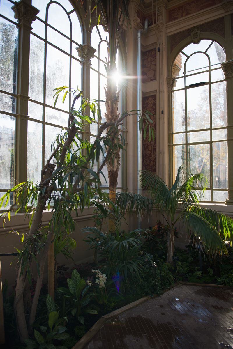 <div class='imageHoverDetail'>
             <p class='imageHoverTitle twoLineBreak'>Plantes a l'interior de l'Hivernacle del parc de la Ciutadella</p>
             <p class='imageHoverAutor oneLineBreak'>Autor: Ceci Fimia</p>
             <button class='imageHoverBtn'>Mostra els detalls de la imatge <span class='sr-only'>Plantes a l'interior de l'Hivernacle del parc de la Ciutadella</span></button>
             </div>
