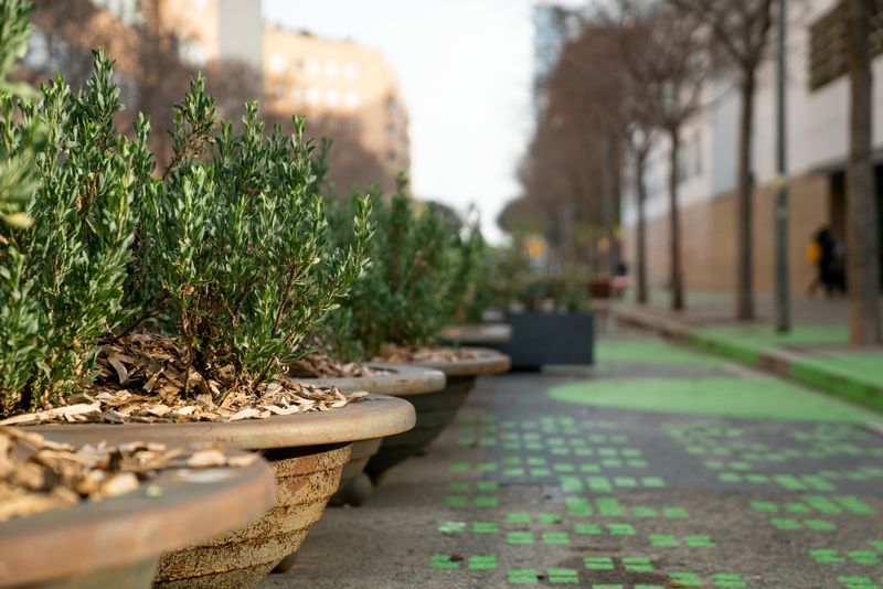 <div class='imageHoverDetail'>
             <p class='imageHoverTitle twoLineBreak'>Detall de les jardineres i del terra de la zona pacificada de vorera ampliada...</p>
             <p class='imageHoverAutor oneLineBreak'>Autor: Martí Petit</p>
             <button class='imageHoverBtn'>Mostra els detalls de la imatge <span class='sr-only'>Detall de les jardineres i del terra de la zona pacificada de vorera ampliada...</span></button>
             </div>