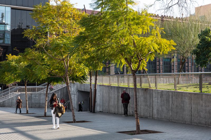 <div class='imageHoverDetail'>
             <p class='imageHoverTitle twoLineBreak'>Parc de l'Estació del Nord</p>
             <p class='imageHoverAutor oneLineBreak'>Autor: Paola de Grenet</p>
             <button class='imageHoverBtn'>Mostra els detalls de la imatge <span class='sr-only'>Parc de l'Estació del Nord</span></button>
             </div>