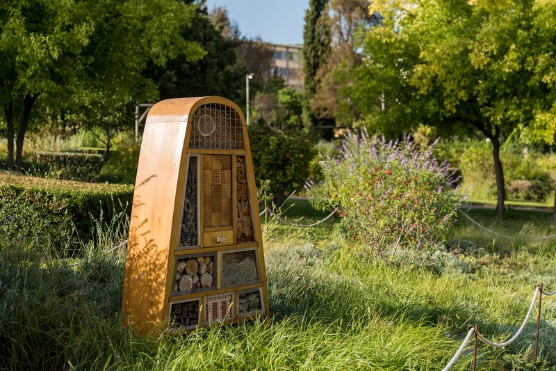 
             Hotel de vespes i abelles
             Autor: Sebastià Rambla
             Mostra els detalls de la imatge Hotel de vespes i abelles
             