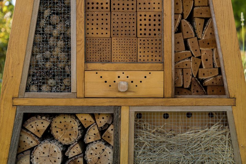 
             Hotel de vespes i abelles
             Autor: Sebastià Rambla
             Mostra els detalls de la imatge Hotel de vespes i abelles
             