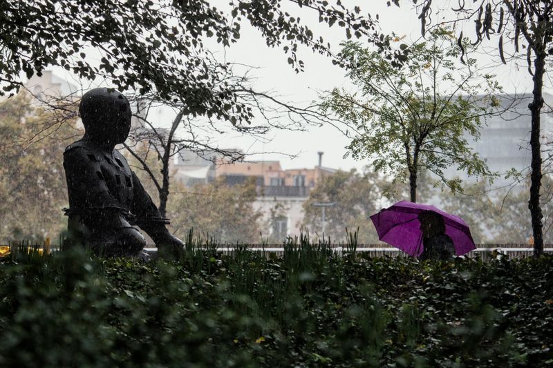 
             Un dels ‘Guardians’ de la superilla del Poblenou sota la pluja
             Autor: Laura Guerrero
             Mostra els detalls de la imatge Un dels ‘Guardians’ de la superilla del Poblenou sota la pluja
             