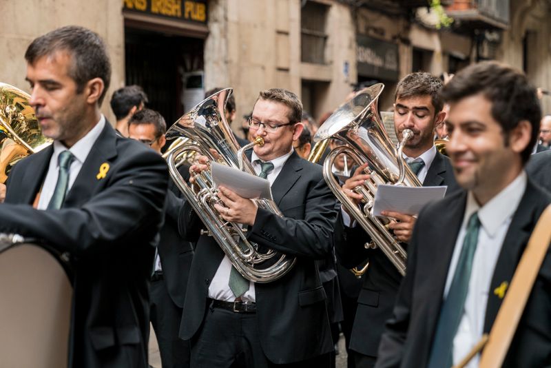 <div class='imageHoverDetail'>
             <p class='imageHoverTitle twoLineBreak'>Diada de la Mercè. Músics d'una banda tocant durant la cercavila</p>
             <p class='imageHoverAutor oneLineBreak'>Autor: Carlota Serarols</p>
             <button class='imageHoverBtn'>Mostra els detalls de la imatge <span class='sr-only'>Diada de la Mercè. Músics d'una banda tocant durant la cercavila</span></button>
             </div>