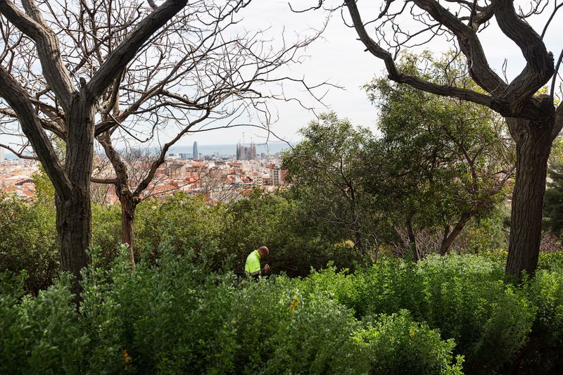 <div class='imageHoverDetail'>
             <p class='imageHoverTitle twoLineBreak'>Vistes de Barcelona des dels Jardins del Turó del Putxet</p>
             <p class='imageHoverAutor oneLineBreak'>Autor: Paola de Grenet</p>
             <button class='imageHoverBtn'>Mostra els detalls de la imatge <span class='sr-only'>Vistes de Barcelona des dels Jardins del Turó del Putxet</span></button>
             </div>
