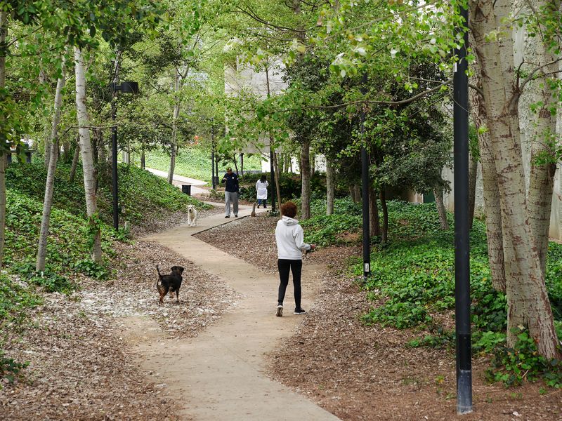 <div class='imageHoverDetail'>
             <p class='imageHoverTitle twoLineBreak'>Fundació Vila Casas - Can Framis</p>
             <p class='imageHoverAutor oneLineBreak'>Autor: Vicente Zambrano</p>
             <button class='imageHoverBtn'>Mostra els detalls de la imatge <span class='sr-only'>Fundació Vila Casas - Can Framis</span></button>
             </div>