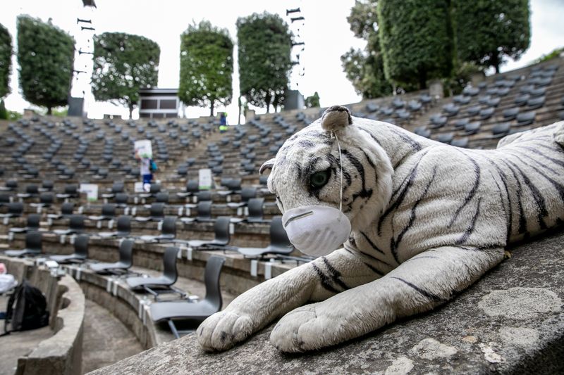 
             Detall de la mascota del Teatre Grec, el peluix de tigre Currupipi, amb una m...
             Autor: Edu Bayer
             Mostra els detalls de la imatge Detall de la mascota del Teatre Grec, el peluix de tigre Currupipi, amb una m...
             