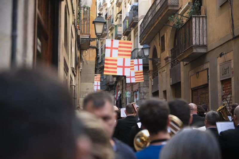 <div class='imageHoverDetail'>
             <p class='imageHoverTitle twoLineBreak'>Gente que sigue el séquito popular del día de La Mercè</p>
             <p class='imageHoverAutor oneLineBreak'>Autor: Ceci Fimia</p>
             <button class='imageHoverBtn'>Ver los detalles de la imagen <span class='sr-only'>Gente que sigue el séquito popular del día de La Mercè</span></button>
             </div>