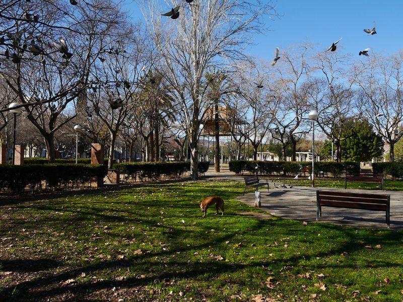 <div class='imageHoverDetail'>
             <p class='imageHoverTitle twoLineBreak'>Parc de Sant Martí</p>
             <p class='imageHoverAutor oneLineBreak'>Autor: Vicente Zambrano</p>
             <button class='imageHoverBtn'>Mostra els detalls de la imatge <span class='sr-only'>Parc de Sant Martí</span></button>
             </div>