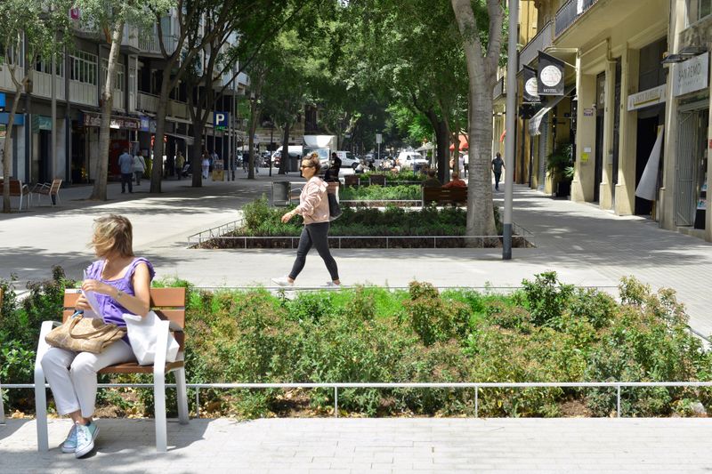 <div class='imageHoverDetail'>
             <p class='imageHoverTitle twoLineBreak'>Carrer del Comte Borrell a la superilla de Sant Antoni, amb grans parterres o...</p>
             <p class='imageHoverAutor oneLineBreak'>Autor: Òscar Giralt</p>
             <button class='imageHoverBtn'>Mostra els detalls de la imatge <span class='sr-only'>Carrer del Comte Borrell a la superilla de Sant Antoni, amb grans parterres o...</span></button>
             </div>