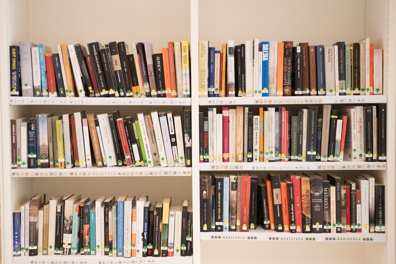
             Llibres a la prestatgeria de la biblioteca del Casal de Gent Gran Sant Ildefons.
             Autor: Ceci Fimia
             Mostra els detalls de la imatge Llibres a la prestatgeria de la biblioteca del Casal de Gent Gran Sant Ildefons.
             