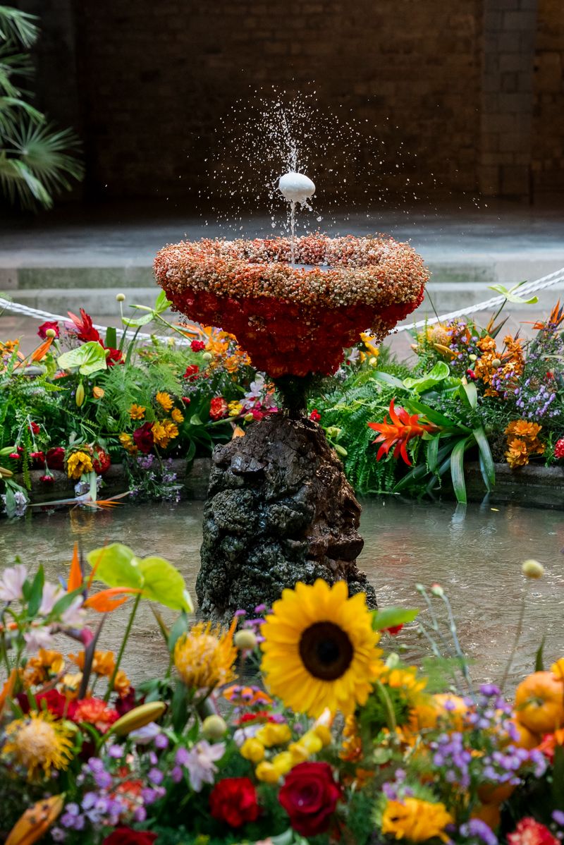 
             “L’ou com balla” (el huevo que salta) en el surtidor, vestido con muchas flor...
             
             Ver los detalles de la imagen “L’ou com balla” (el huevo que salta) en el surtidor, vestido con muchas flor...
             