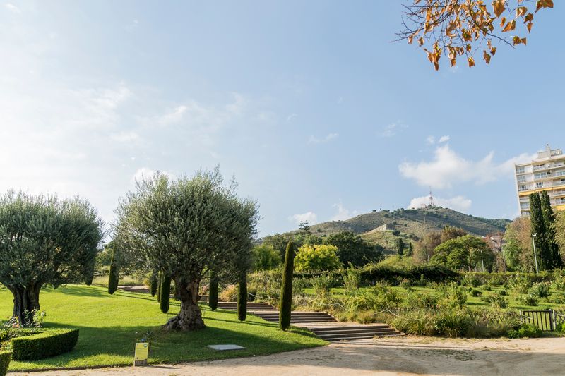
             Vistes del Parc
             Autor: Sebastià Rambla
             Mostra els detalls de la imatge Vistes del Parc
             