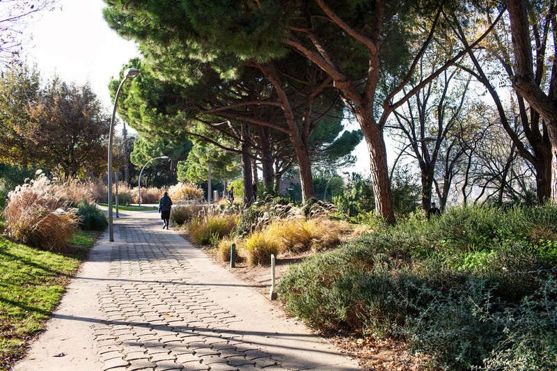 <div class='imageHoverDetail'>
             <p class='imageHoverTitle twoLineBreak'>Camí de pedra al Parc de Montjuïc</p>
             <p class='imageHoverAutor oneLineBreak'>Autor: Paola de Grenet</p>
             <button class='imageHoverBtn'>Mostra els detalls de la imatge <span class='sr-only'>Camí de pedra al Parc de Montjuïc</span></button>
             </div>