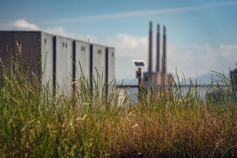 <div class='imageHoverDetail'>
             <p class='imageHoverTitle twoLineBreak'>Detall de les plantes del Terrat Viu del Museu Blau i al fons la central tèrm...</p>
             <p class='imageHoverAutor oneLineBreak'>Autor: Laura Guerrero</p>
             <button class='imageHoverBtn'>Mostra els detalls de la imatge <span class='sr-only'>Detall de les plantes del Terrat Viu del Museu Blau i al fons la central tèrm...</span></button>
             </div>