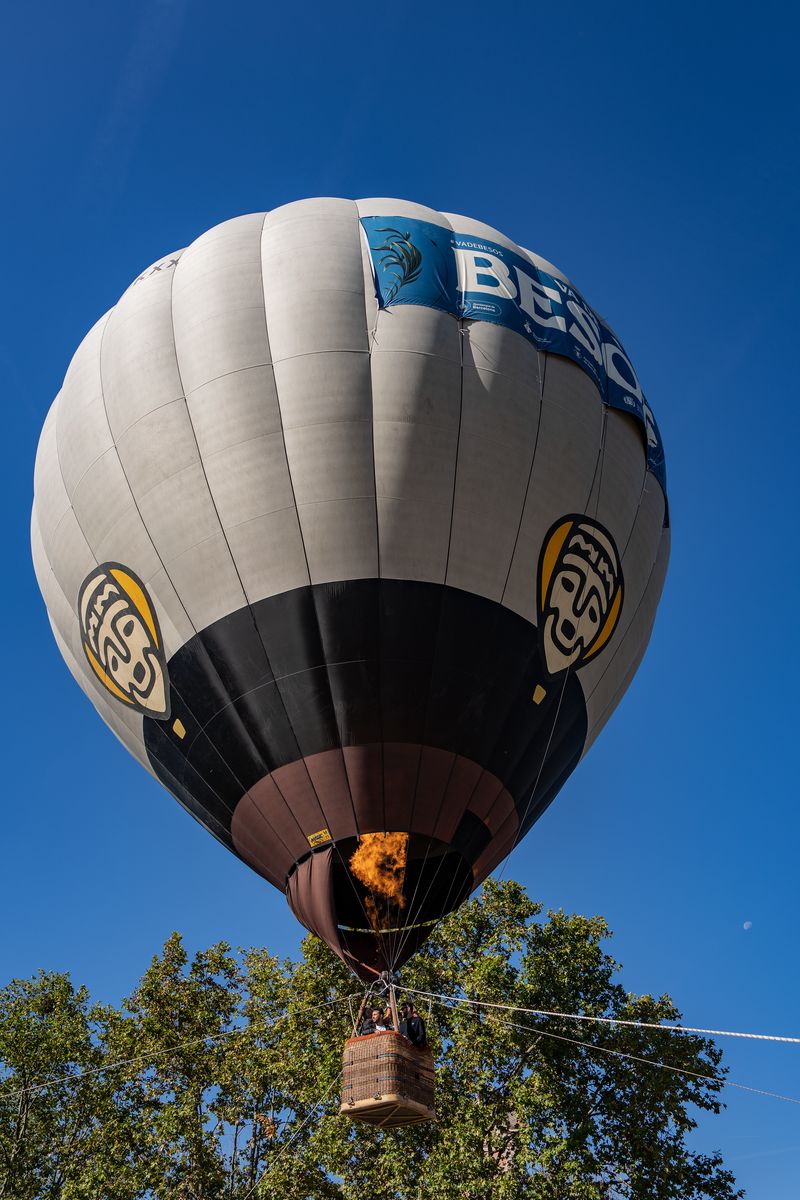 
             Moment en què un globus aerostàtic, carregat amb uns joves, alça el vol el di...
             Autor: Laura Guerrero
             Mostra els detalls de la imatge Moment en què un globus aerostàtic, carregat amb uns joves, alça el vol el di...
             