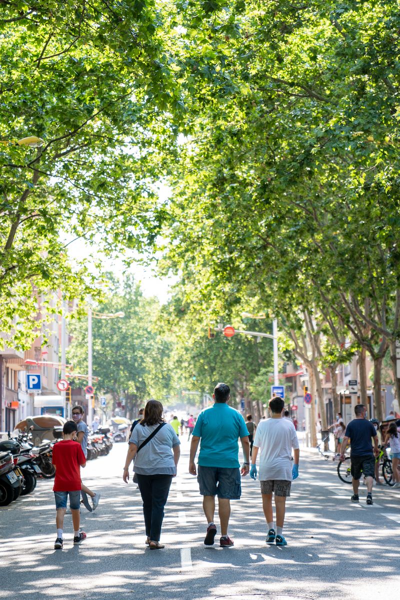 <div class='imageHoverDetail'>
             <p class='imageHoverTitle twoLineBreak'>Grups de persones caminant per l'itinerari segur del passeig de Fabra i Puig ...</p>
             <p class='imageHoverAutor oneLineBreak'>Autor: Clara Soler Chopo</p>
             <button class='imageHoverBtn'>Mostra els detalls de la imatge <span class='sr-only'>Grups de persones caminant per l'itinerari segur del passeig de Fabra i Puig ...</span></button>
             </div>