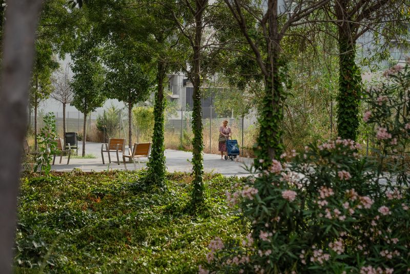 <div class='imageHoverDetail'>
             <p class='imageHoverTitle twoLineBreak'>Parc del barri de la Marina del Prat Vermell a la presentació de les novetats...</p>
             <p class='imageHoverAutor oneLineBreak'>Autor: Lucas Amillano</p>
             <button class='imageHoverBtn'>Mostra els detalls de la imatge <span class='sr-only'>Parc del barri de la Marina del Prat Vermell a la presentació de les novetats...</span></button>
             </div>