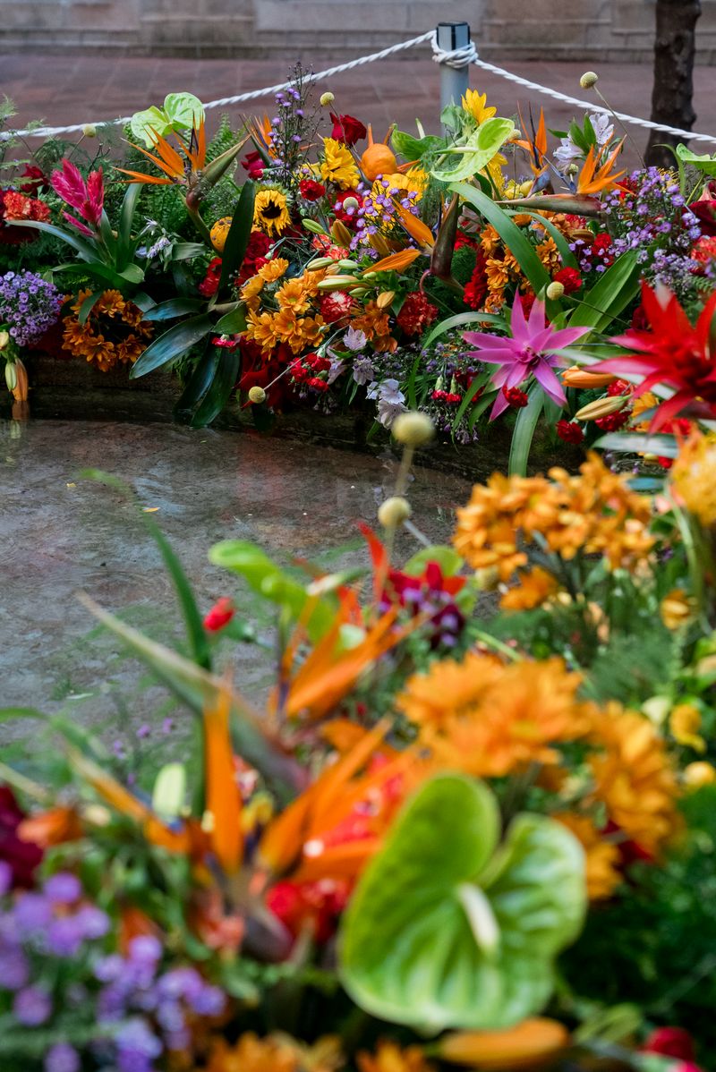 
             Flores para la festividad del Corpus
             Autor: Elena Pastor
             Ver los detalles de la imagen Flores para la festividad del Corpus
             