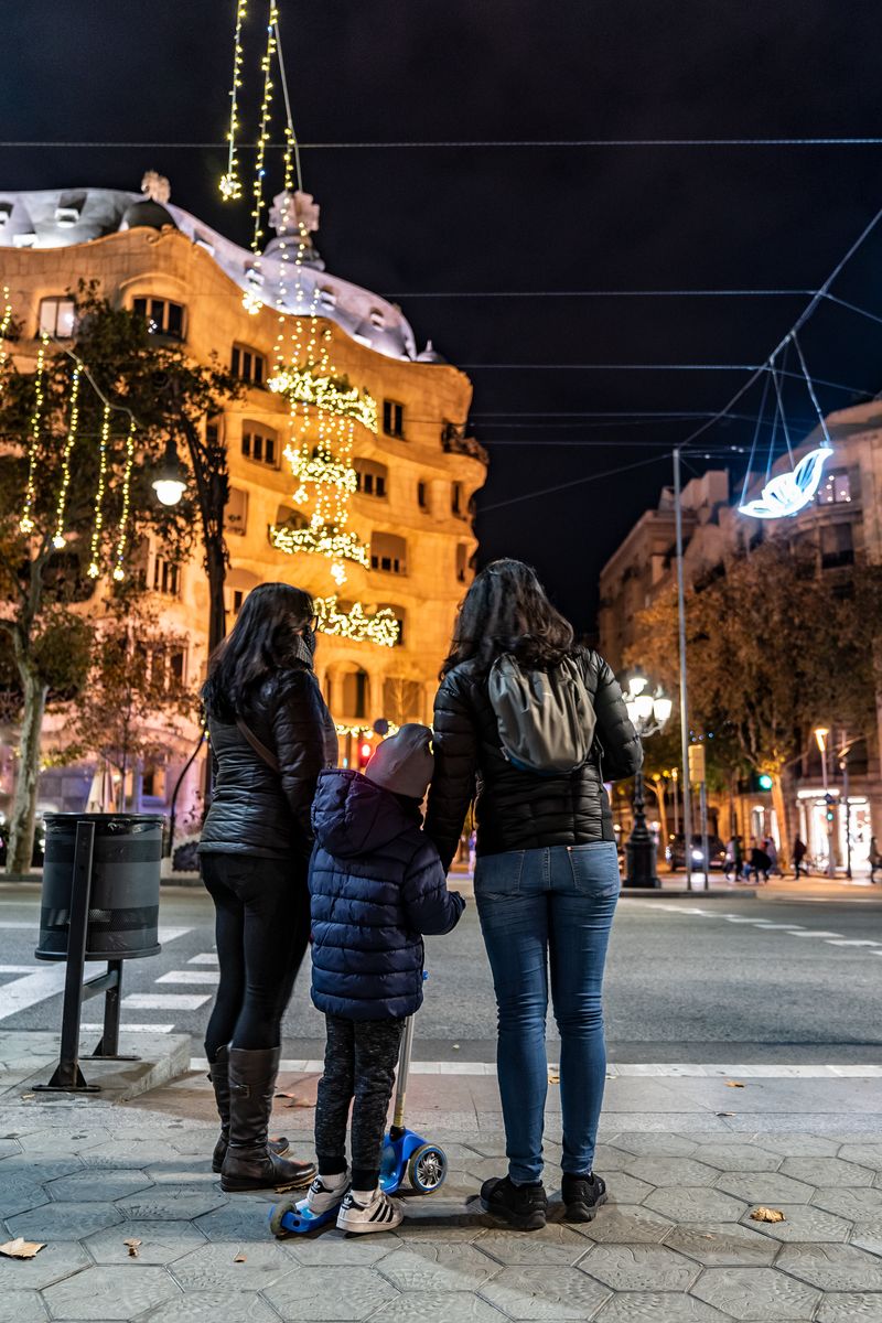 <div class='imageHoverDetail'>
             <p class='imageHoverTitle twoLineBreak'>Una família s’atura al passeig de Gràcia per gaudir de la decoració de Nadal ...</p>
             <p class='imageHoverAutor oneLineBreak'>Autor: Laura Guerrero</p>
             <button class='imageHoverBtn'>Mostra els detalls de la imatge <span class='sr-only'>Una família s’atura al passeig de Gràcia per gaudir de la decoració de Nadal ...</span></button>
             </div>
