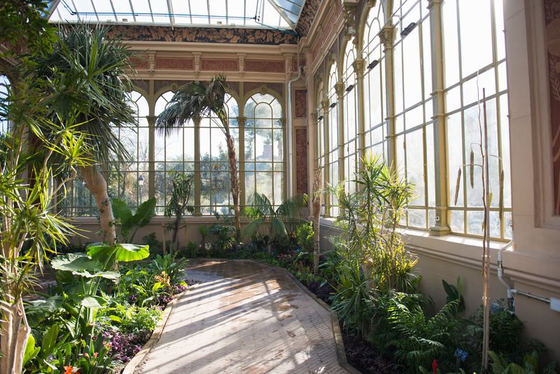 <div class='imageHoverDetail'>
             <p class='imageHoverTitle twoLineBreak'>Plantes a l'interior de l'hivernacle del parc de la Ciutadella</p>
             <p class='imageHoverAutor oneLineBreak'>Autor: Ceci Fimia</p>
             <button class='imageHoverBtn'>Mostra els detalls de la imatge <span class='sr-only'>Plantes a l'interior de l'hivernacle del parc de la Ciutadella</span></button>
             </div>