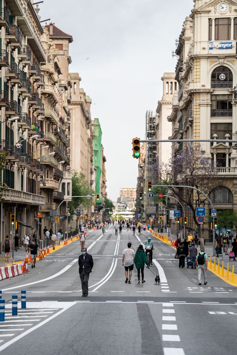 
             Vista de l