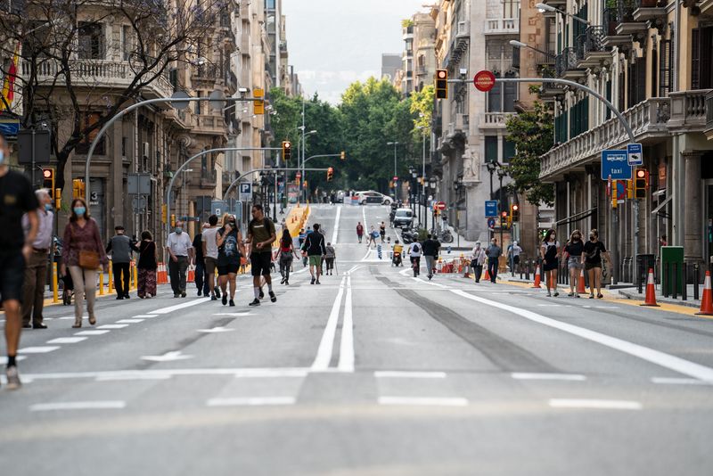 
             Vista de l